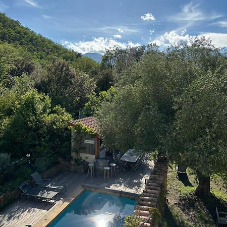 Villa Bonheur Vallespir Céret Екстериор снимка