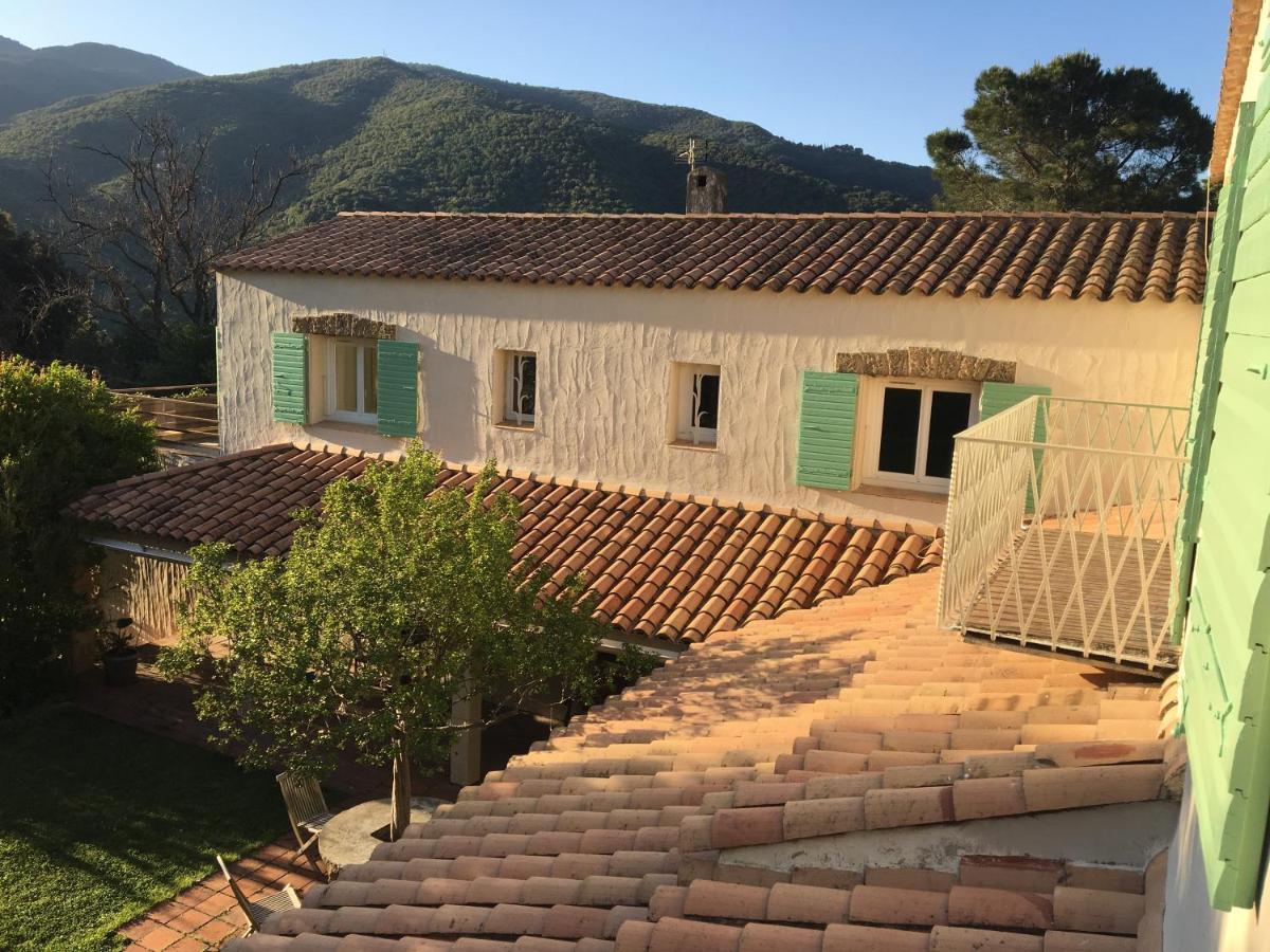 Villa Bonheur Vallespir Céret Екстериор снимка