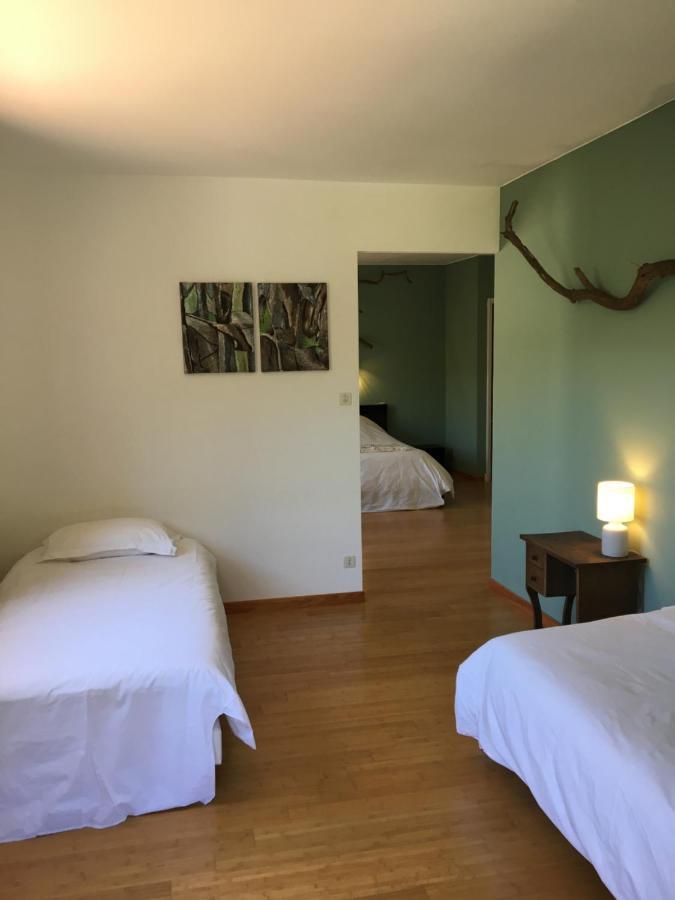 Villa Bonheur Vallespir Céret Екстериор снимка