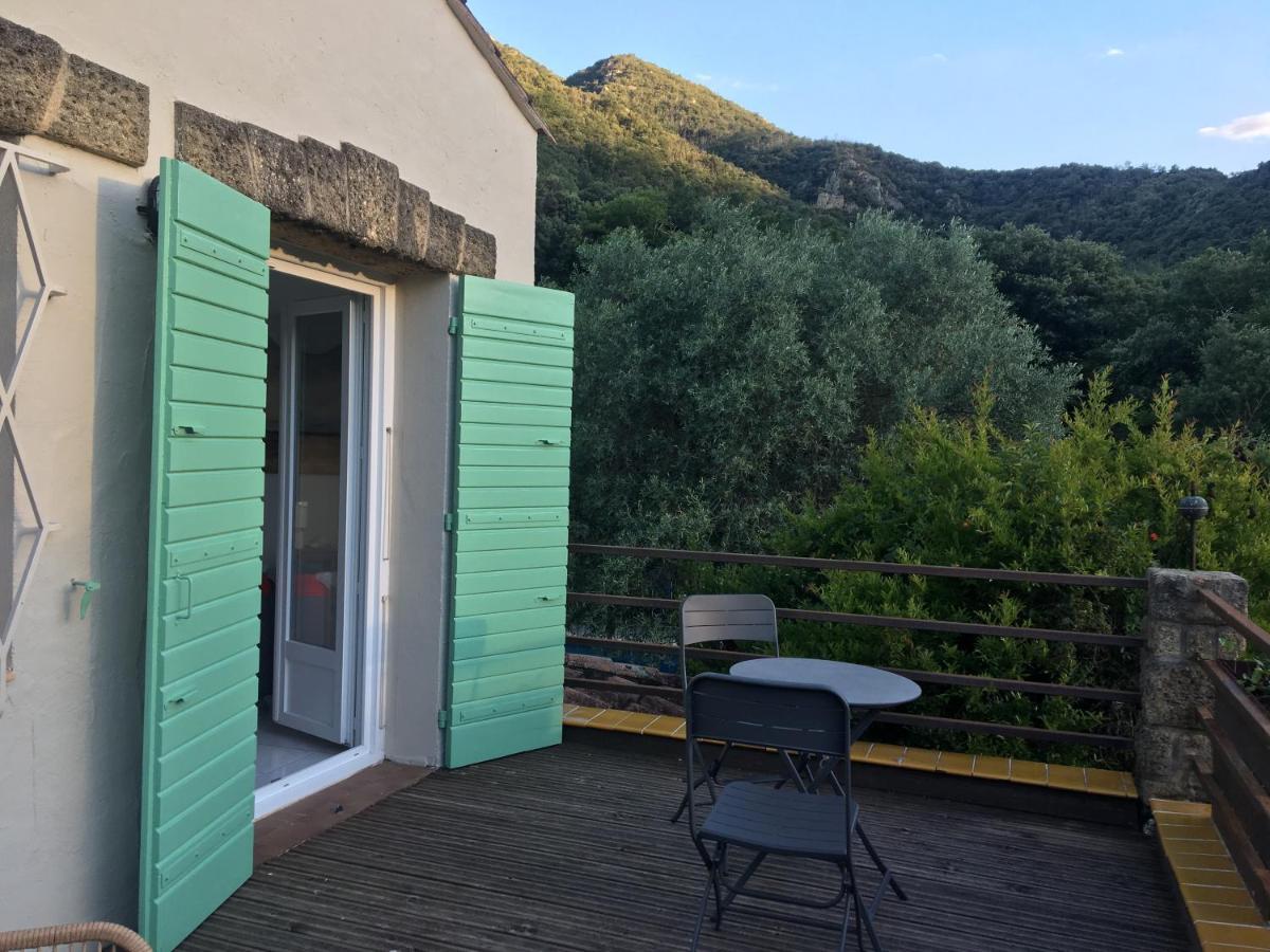 Villa Bonheur Vallespir Céret Екстериор снимка