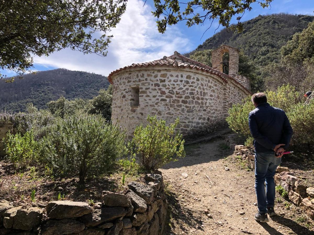 Villa Bonheur Vallespir Céret Екстериор снимка