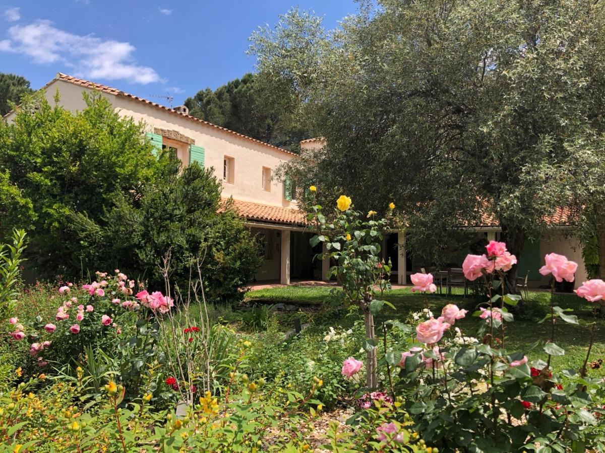 Villa Bonheur Vallespir Céret Екстериор снимка