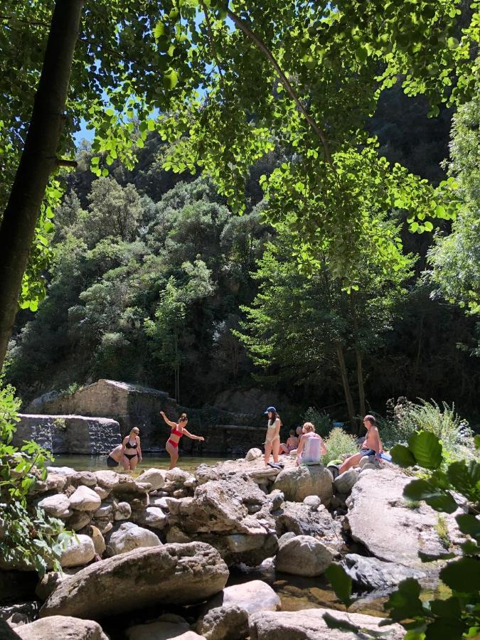 Villa Bonheur Vallespir Céret Екстериор снимка