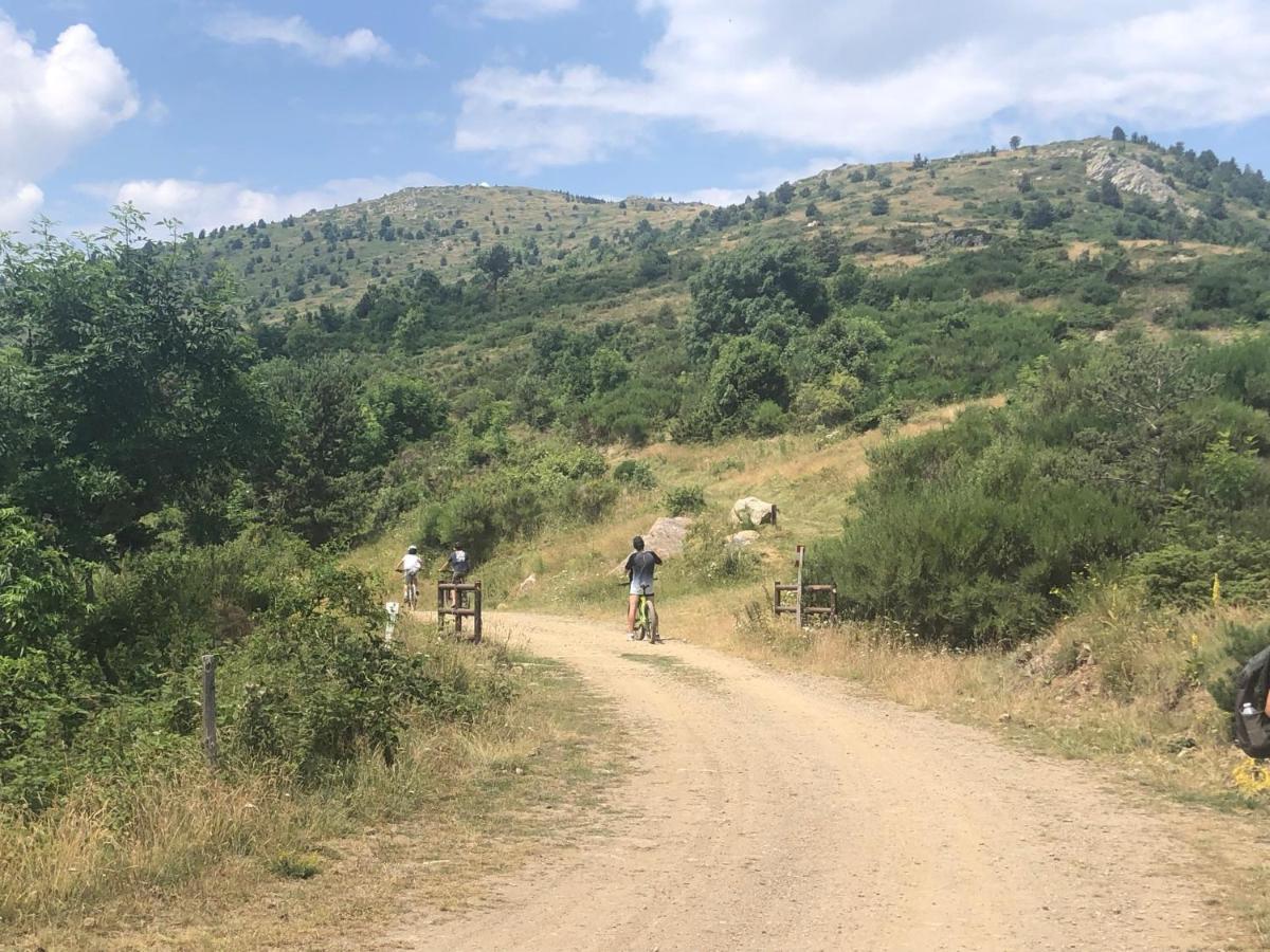 Villa Bonheur Vallespir Céret Екстериор снимка