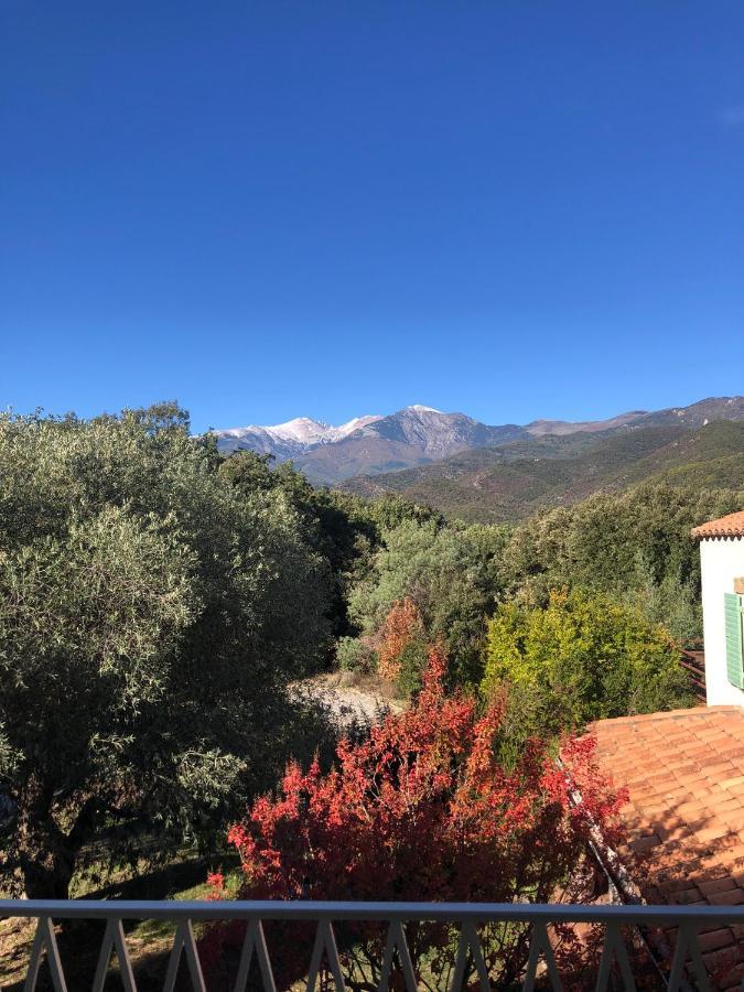 Villa Bonheur Vallespir Céret Екстериор снимка