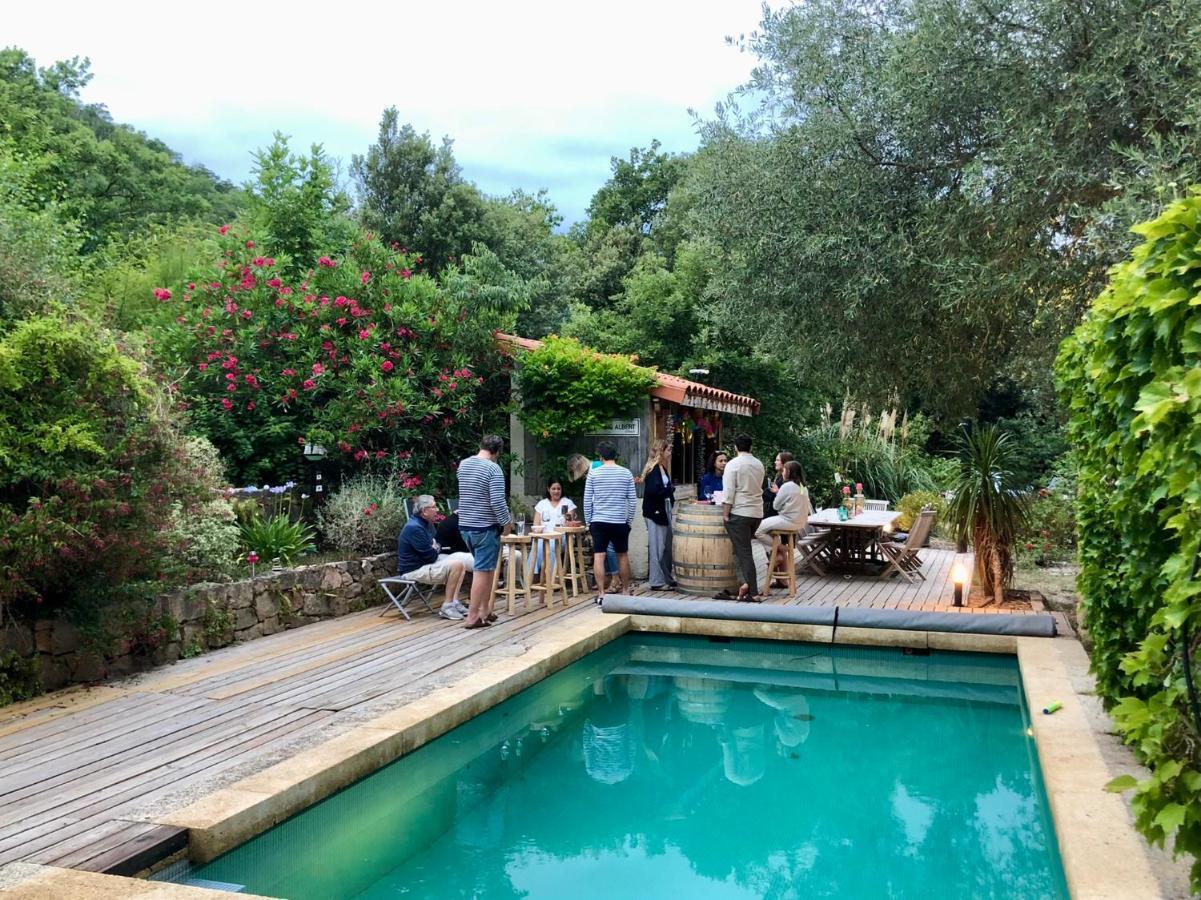 Villa Bonheur Vallespir Céret Екстериор снимка