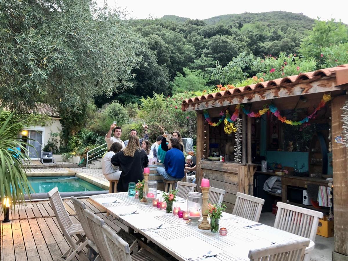 Villa Bonheur Vallespir Céret Екстериор снимка
