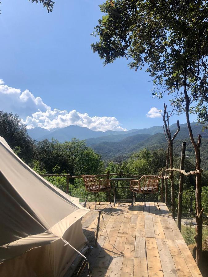 Villa Bonheur Vallespir Céret Екстериор снимка