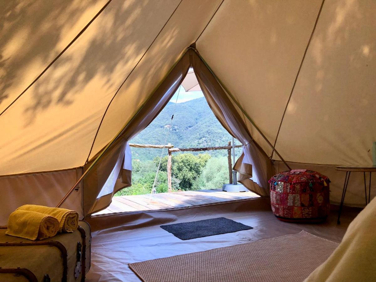 Villa Bonheur Vallespir Céret Екстериор снимка