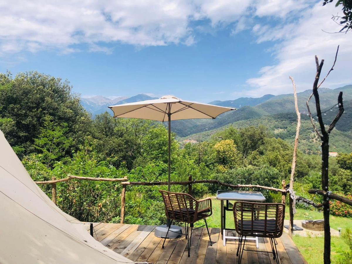 Villa Bonheur Vallespir Céret Екстериор снимка