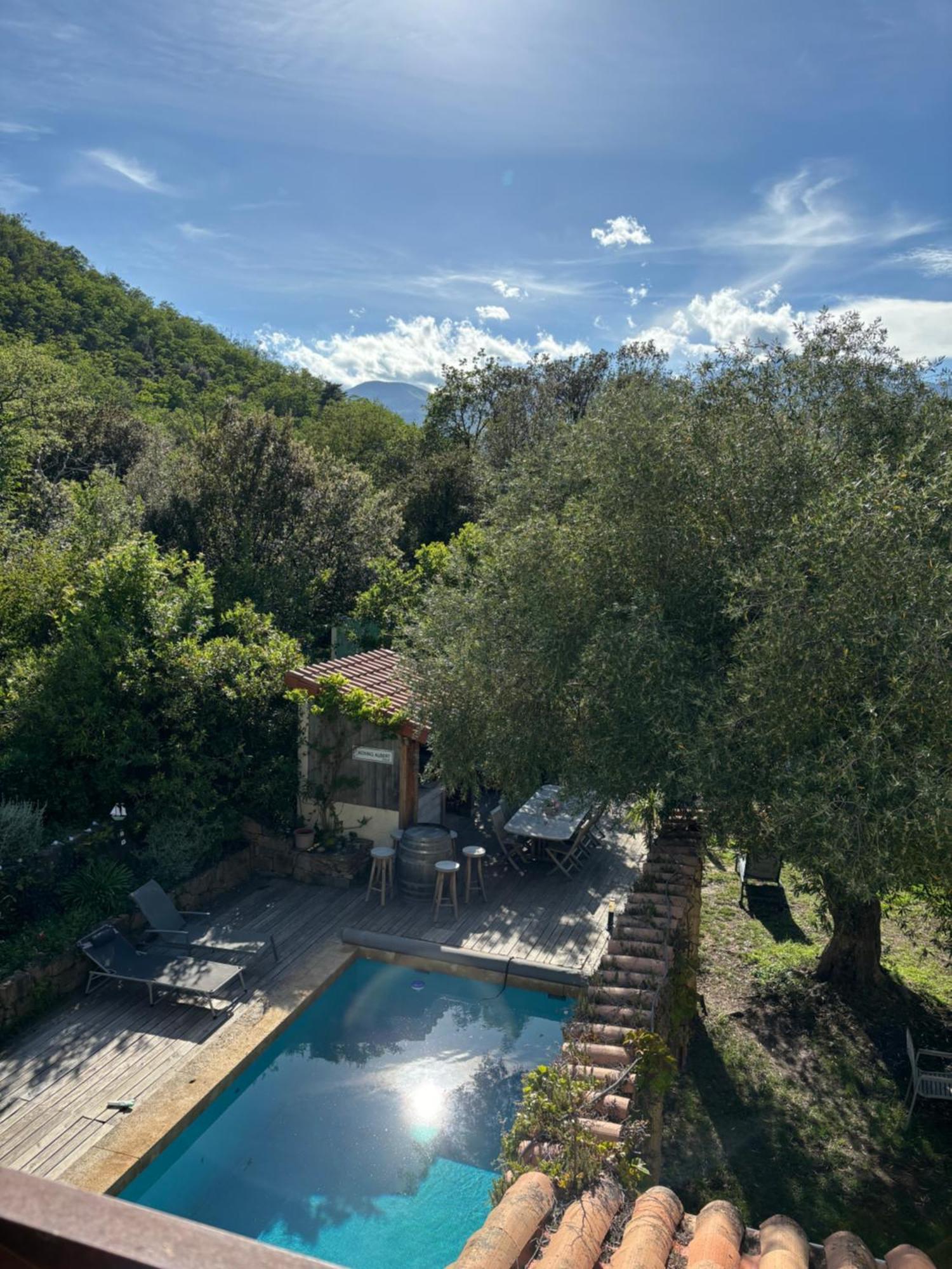 Villa Bonheur Vallespir Céret Екстериор снимка