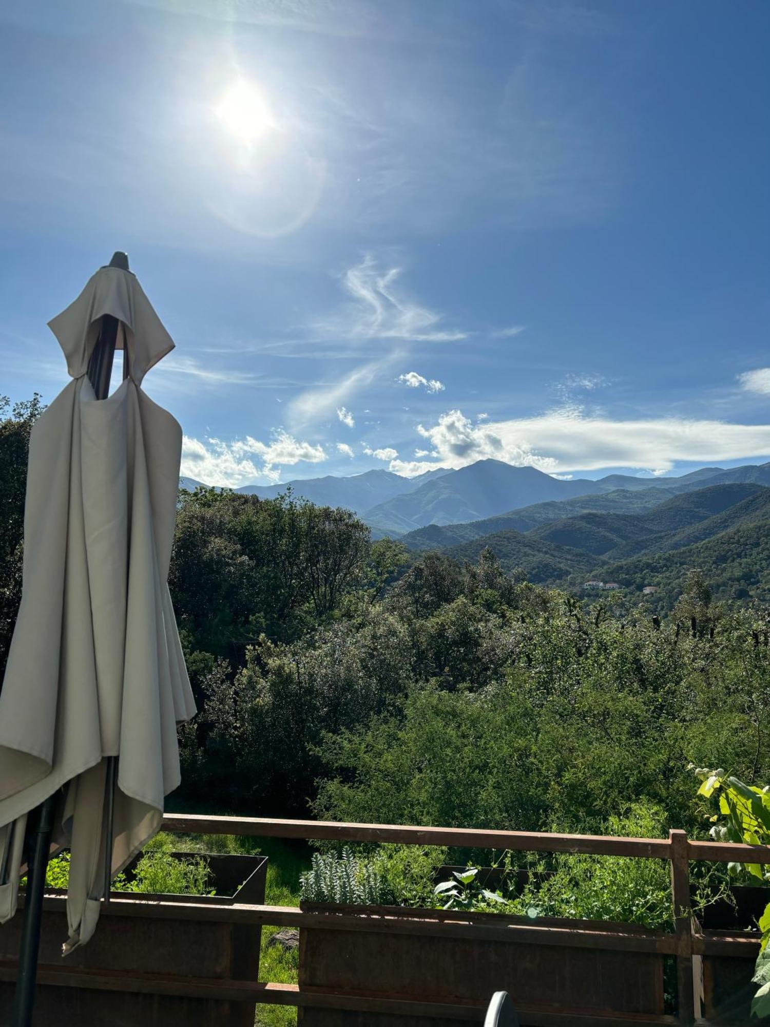 Villa Bonheur Vallespir Céret Екстериор снимка
